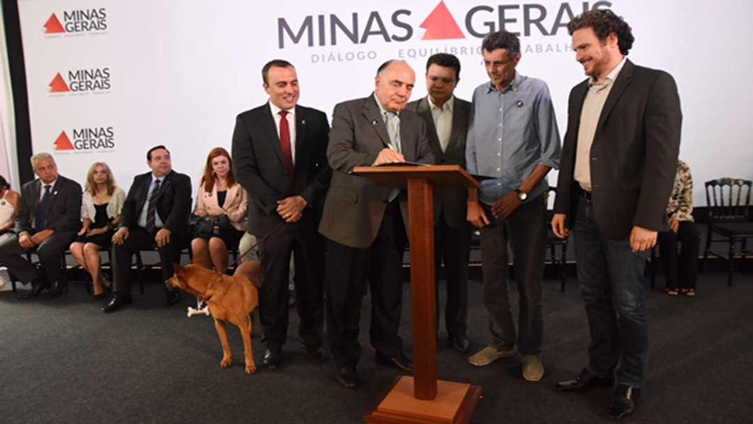 Estado anuncia medidas de combate a maus-tratos contra animais