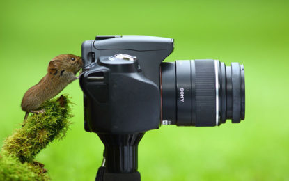 Inscrições abertas para concurso de fotografia promovido pelo CNPq