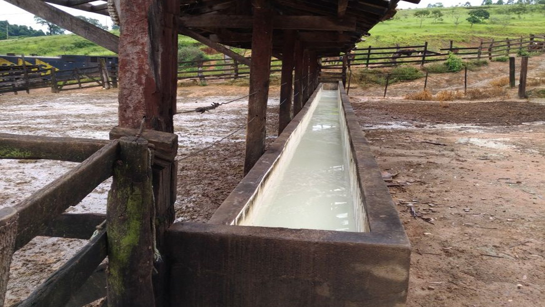 PM do Meio Ambiente autua laticínio em mais de 20 mil reais  por poluição em córrego de Lagoa Dourada