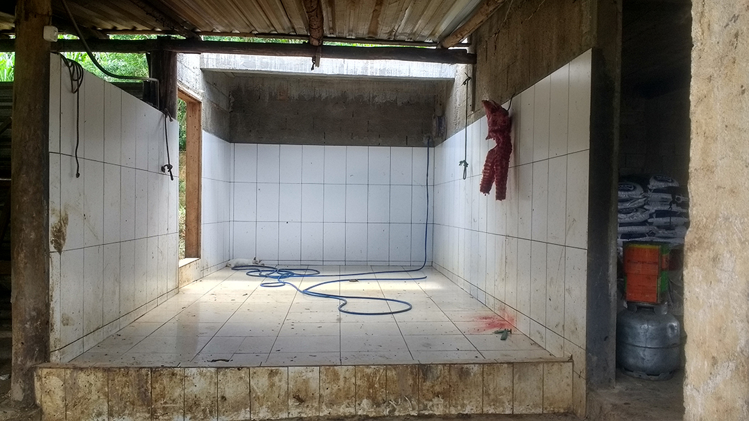 Abatedouro ilegal de suínos é fechado pela PM do Meio Ambiente em Cipotânea e autuado em mais de 40 mil reais.