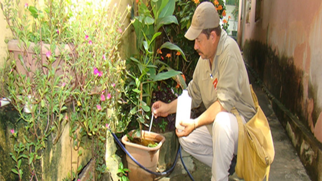 Combate à proliferação do Aedes deve ser reforçado