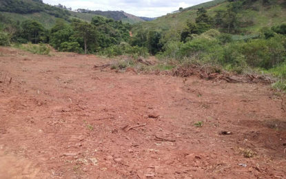 PM do Meio Ambiente flagra degradação ambiental em  Cipotânea