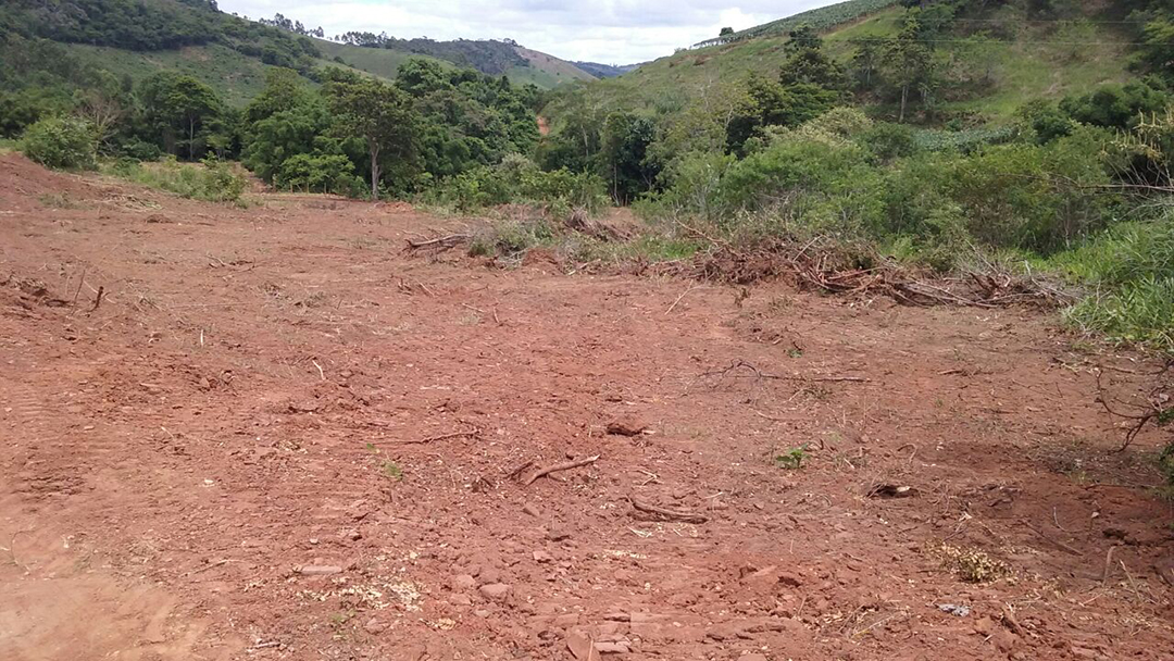PM do Meio Ambiente flagra degradação ambiental em  Cipotânea