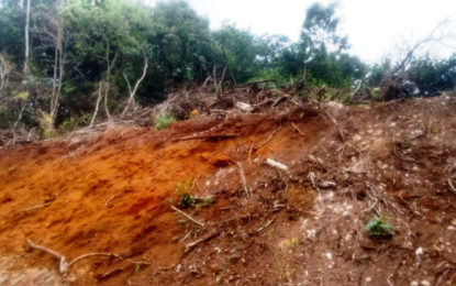 Dono de terreno em São João Del Rei descumpre ordem de suspensão de atividade degradadora e é autuado novamente.