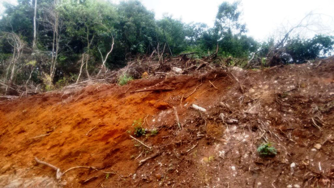 Dono de terreno em São João Del Rei descumpre ordem de suspensão de atividade degradadora e é autuado novamente.