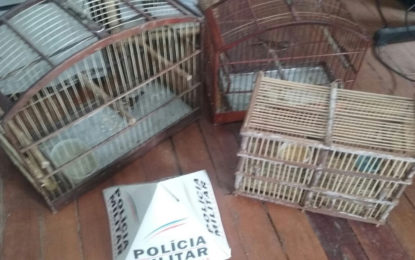 PM do meio ambiente prende autor de caça ilegal em Senhora  dos Remédios