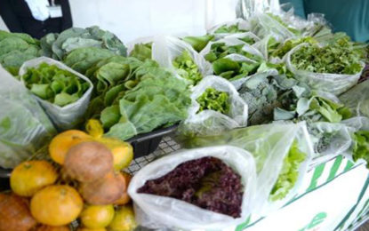 Nova política de segurança alimentar de Minas Gerais é sancionada pelo governador