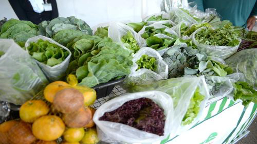 Nova política de segurança alimentar de Minas Gerais é sancionada pelo governador