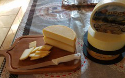 Metodologia simplificada facilita a regularização dos produtores de Queijo Minas Artesanal