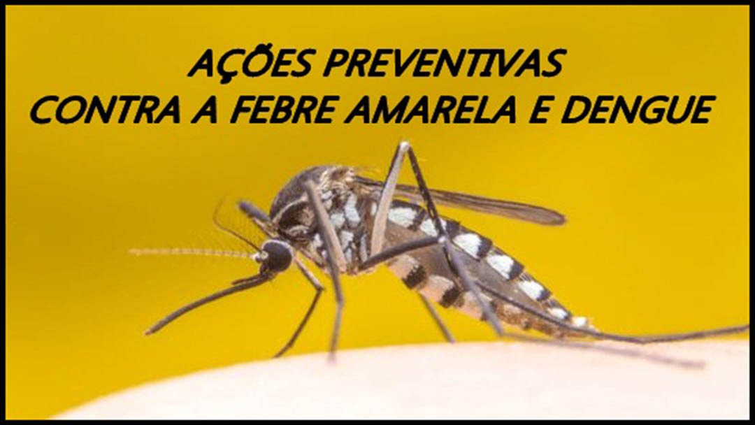 AÇÕES PREVENTIVAS CONTRA A FEBRE AMARELA E DENGUE