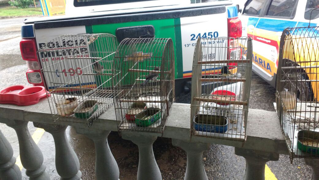 OCORRÊNCIAS DE DESTAQUE DA 13ª Cia PM Independente de Meio Ambiente e Trânsito