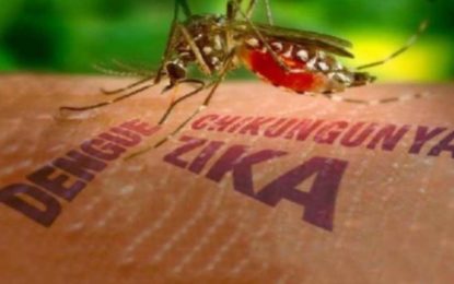 Boletim Epidemiológico de Monitoramento dos casos de Dengue, Chikungunya e Zika Vírus (26/02)