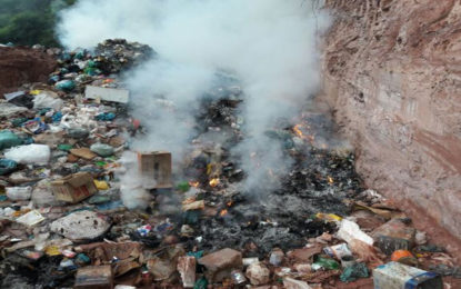 Lixão a céu aberto é autuado pela PM em Porto Firme