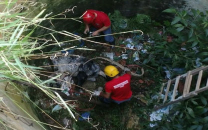 BOMBEIROS RESGATAM BEZERRO QUE CAIU EM SILO DE 7 METROS