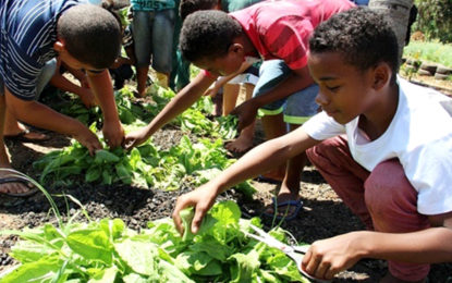 Educação Integral e Integrada vai atender mais de 167 mil estudantes em 2018