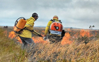 GOVERNO DO ESTADO ABRE EDITAL PARA CONTRATAÇÃO DE BRIGADISTAS