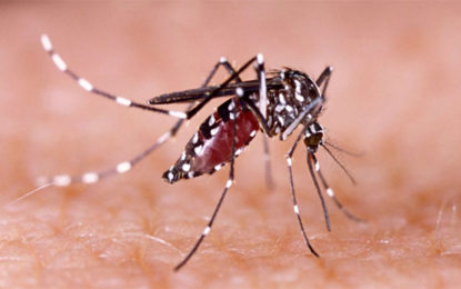 PREFEITURA DE BARBACENA REALIZA O SEGUNDO LIRAa DE 2018