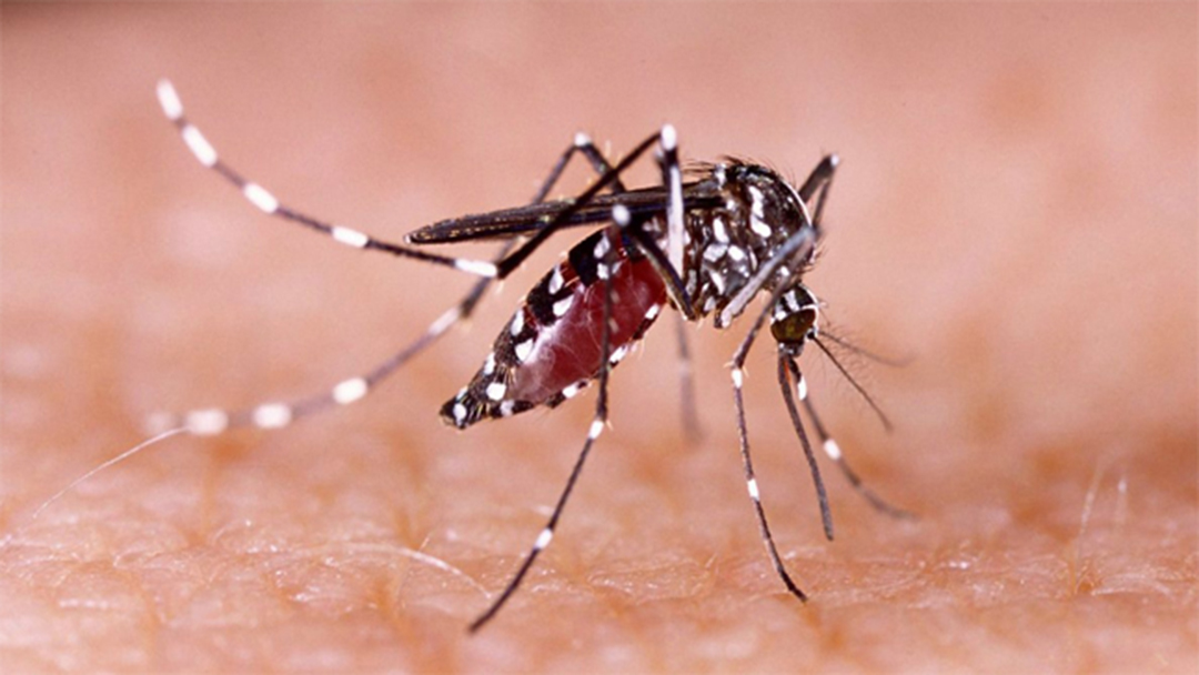 PREFEITURA DE BARBACENA REALIZA O SEGUNDO LIRAa DE 2018