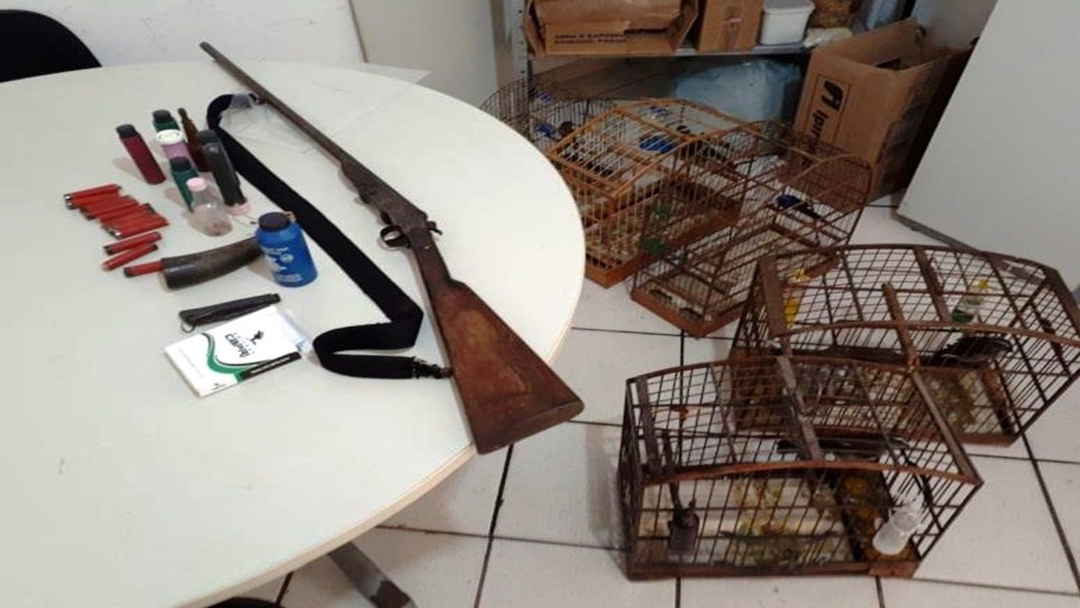 OCORRÊNCIAS DE DESTAQUE 13ª CIA PM INDEPENDENTE DE MEIO AMBIENTE E TRÂNSITO