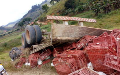 Carreta carregada com galinhas tomba na MG-448 proximidades do Trevo da cidade de Paiva-MG