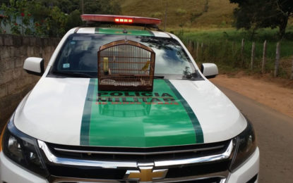 Ocorrências de destaque 13ªCompanhia de Polícia Militar do Meio Ambiente