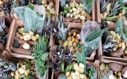 PROGRAMA GERA OPORTUNIDADE PARA AGRICULTORES FAMILIARES