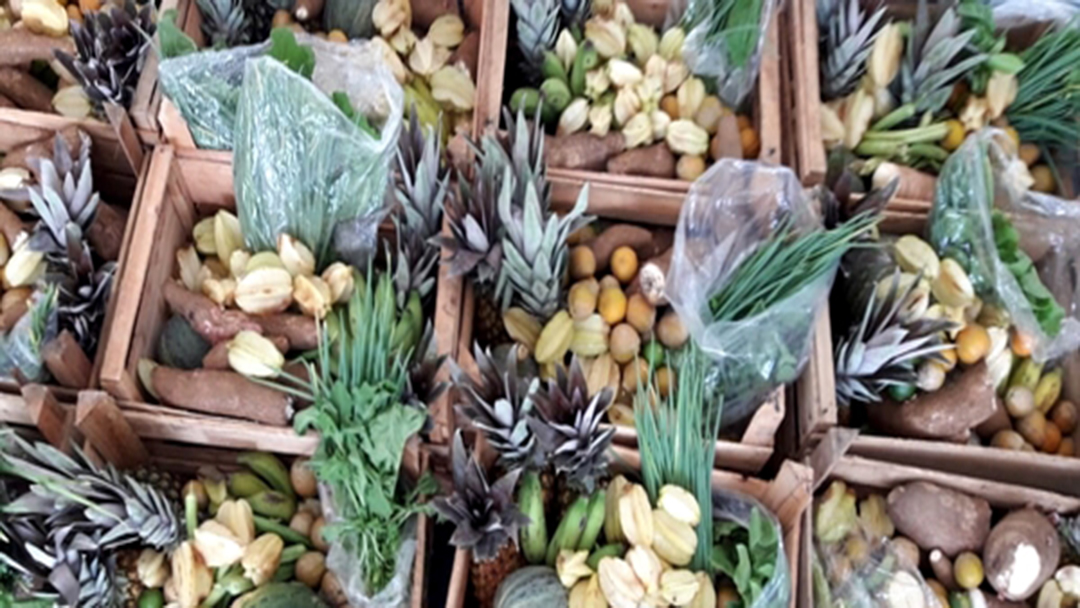 PROGRAMA GERA OPORTUNIDADE PARA AGRICULTORES FAMILIARES