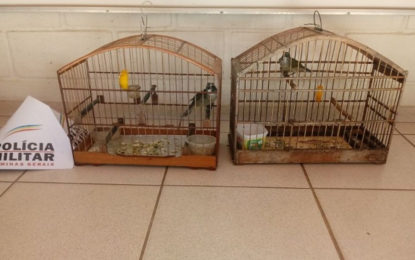 OCORRÊNCIAS DE DESTAQUE DA 13ª CIA PM DO MEIO AMBIENTE/VEJA MAIS