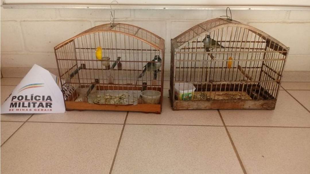 OCORRÊNCIAS DE DESTAQUE DA 13ª CIA PM DO MEIO AMBIENTE/VEJA MAIS