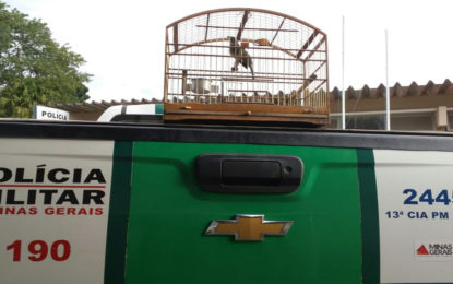 OCORRÊNCIAS DE DESTAQUE POLÍCIA MILITAR DO MEIO AMBIENTE