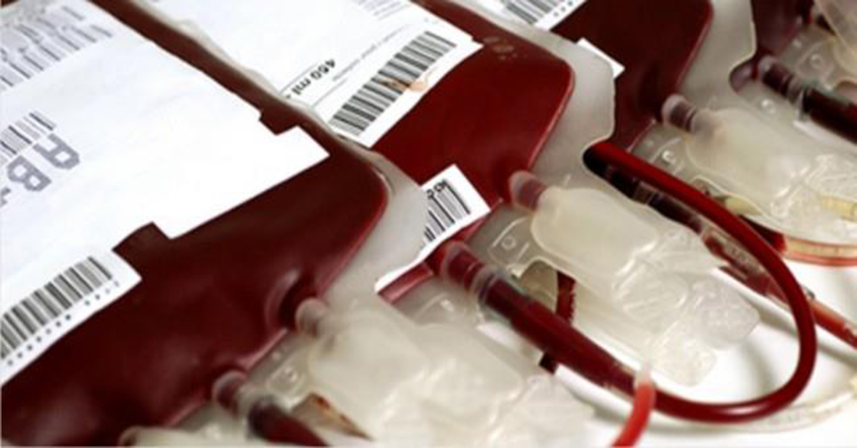 Hemominas celebra o Dia Mundial do Doador de Sangue nesta quinta-feira (14/06)