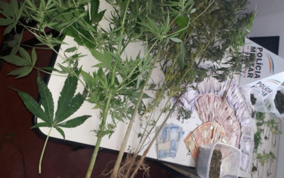 DROGAS SÃO APREENDIDAS PELA POLÍCIA MILITAR EM ARANTINA-MG.