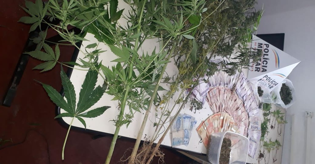 DROGAS SÃO APREENDIDAS PELA POLÍCIA MILITAR EM ARANTINA-MG.