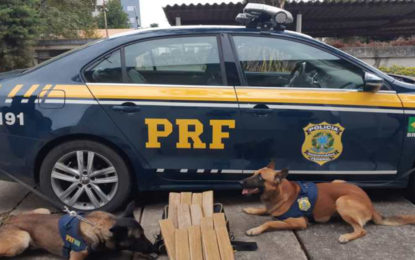 PRF prende casal com 10kg de maconha em mochila em Pouso Alegre (MG).