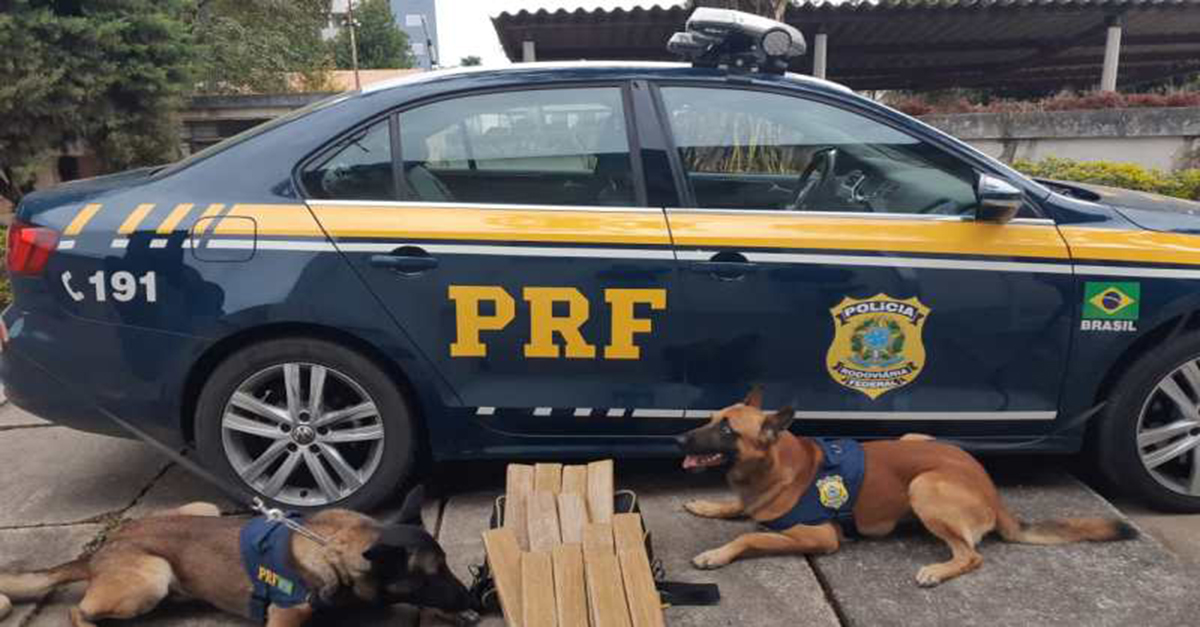 PRF prende casal com 10kg de maconha em mochila em Pouso Alegre (MG).