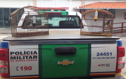 DENÚNCIA LEVA A POLÍCIA ATÉ CRIADOR DE PÁSSAROS TRINCA FERRO.