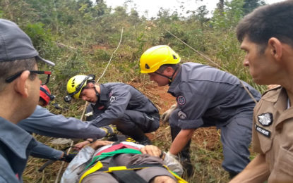 Carreta cai em ribanceira de 60 metros com duas vítimas, nas  proximidades da cidade de Capela Nova-MG.