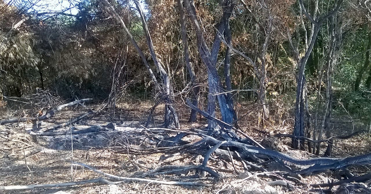 SUINOCULTURA É AUTUADA POR LANÇAMENTO DE REJEITO DIRETO NO CURSO D’ÁGUA.