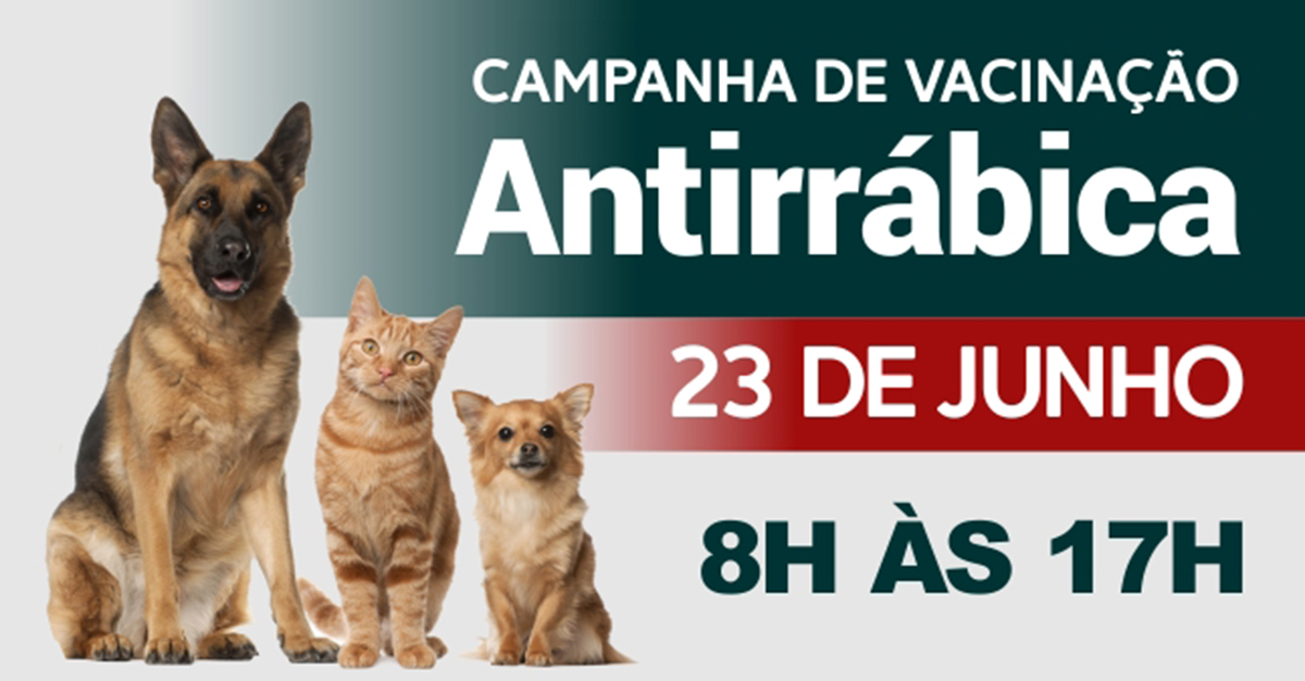 Prefeitura promove mutirão de vacinação antirrábica no próximo dia 23