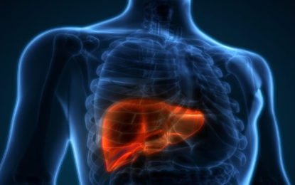 SAÚDE DO FÍGADO TAMBÉM PODE IMPACTAR NO DESENVOLVIMENTO DO ALZHEIMER