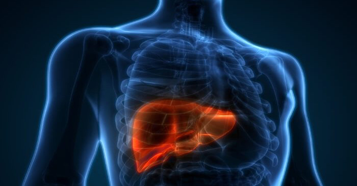 SAÚDE DO FÍGADO TAMBÉM PODE IMPACTAR NO DESENVOLVIMENTO DO ALZHEIMER