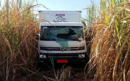 Bandidos sequestram e saqueiam carreta de eletrodomésticos na BR-365, em Ituiutaba