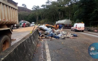 Principais ocorrências da 13ª Cia PM de Meio Ambiente