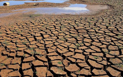 POR FALTA DE CHUVA MAIS DE 80 CIDADES MINEIRAS DECRETARAM ESTADO DE EMERGÊNCIA