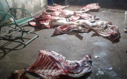 PM prende suspeito de roubar gado e transformar a própria casa em açougue no Triângulo Mineiro