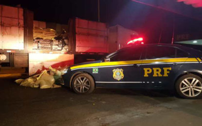 PRF apreende mais de duas toneladas de maconha em carreta com alpiste na BR-262