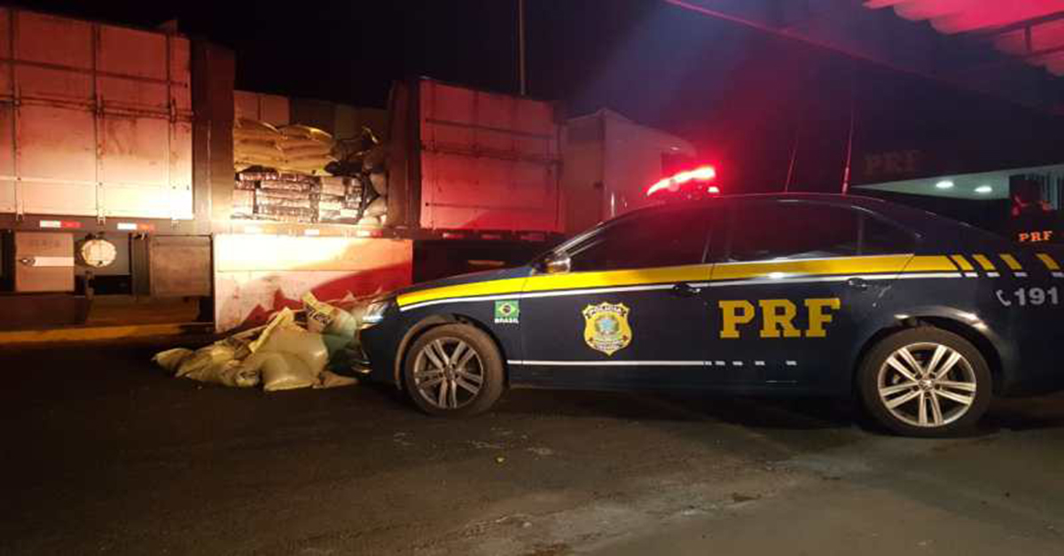 PRF apreende mais de duas toneladas de maconha em carreta com alpiste na BR-262