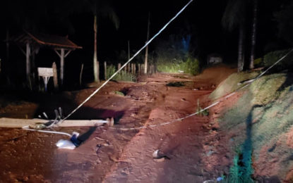 A forte chuva causou queda de árvores interditando estrada na localidade dos costas
