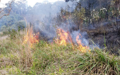 Bombeiros combatem incêndios em vegetação em área federal, espaço cultural em Barbacena