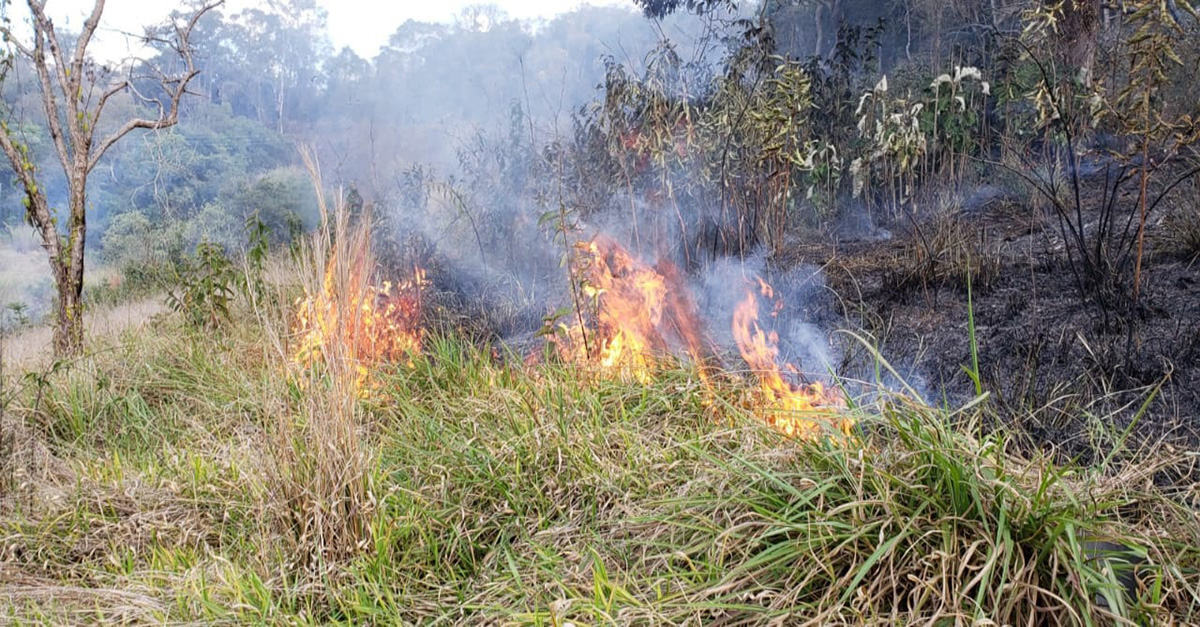 Bombeiros combatem incêndios em vegetação em área federal, espaço cultural em Barbacena